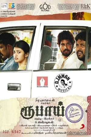 Rubaai (2017) Hindi Dual Audio 400MB - Movierulz